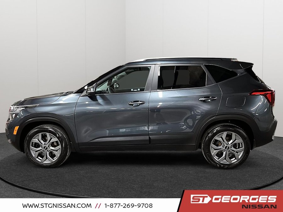 Kia Seltos 2024 2024 Gris