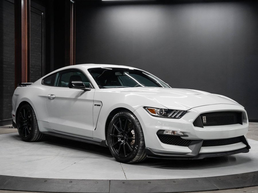 2017 Ford Mustang Shelby GT350 2017 Grey