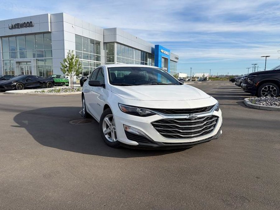 2023 Chevrolet Malibu 2023 White