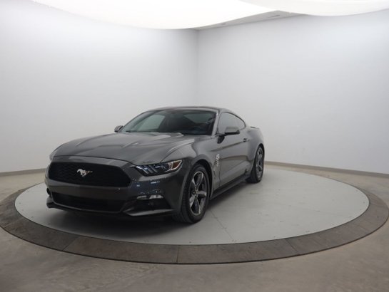 2017 Ford Mustang 2017 Grey