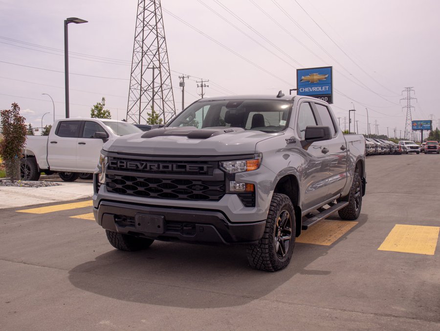 2024 Chevrolet Silverado 1500 2024 Grey
