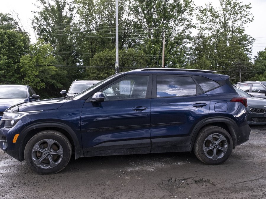 Kia Seltos 2023 2023 Bleu