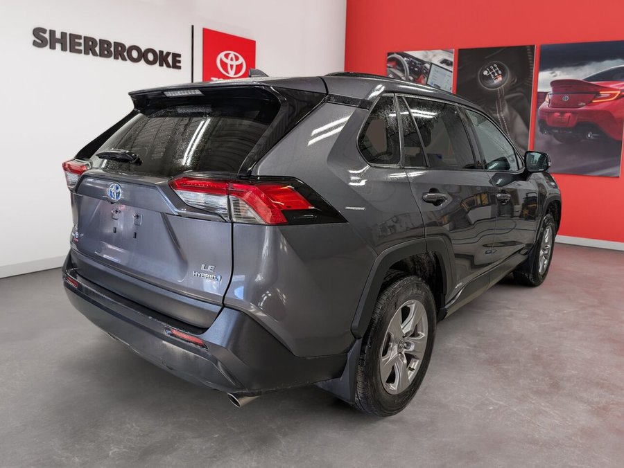 Toyota RAV4 Hybride 2023 2023 Gris