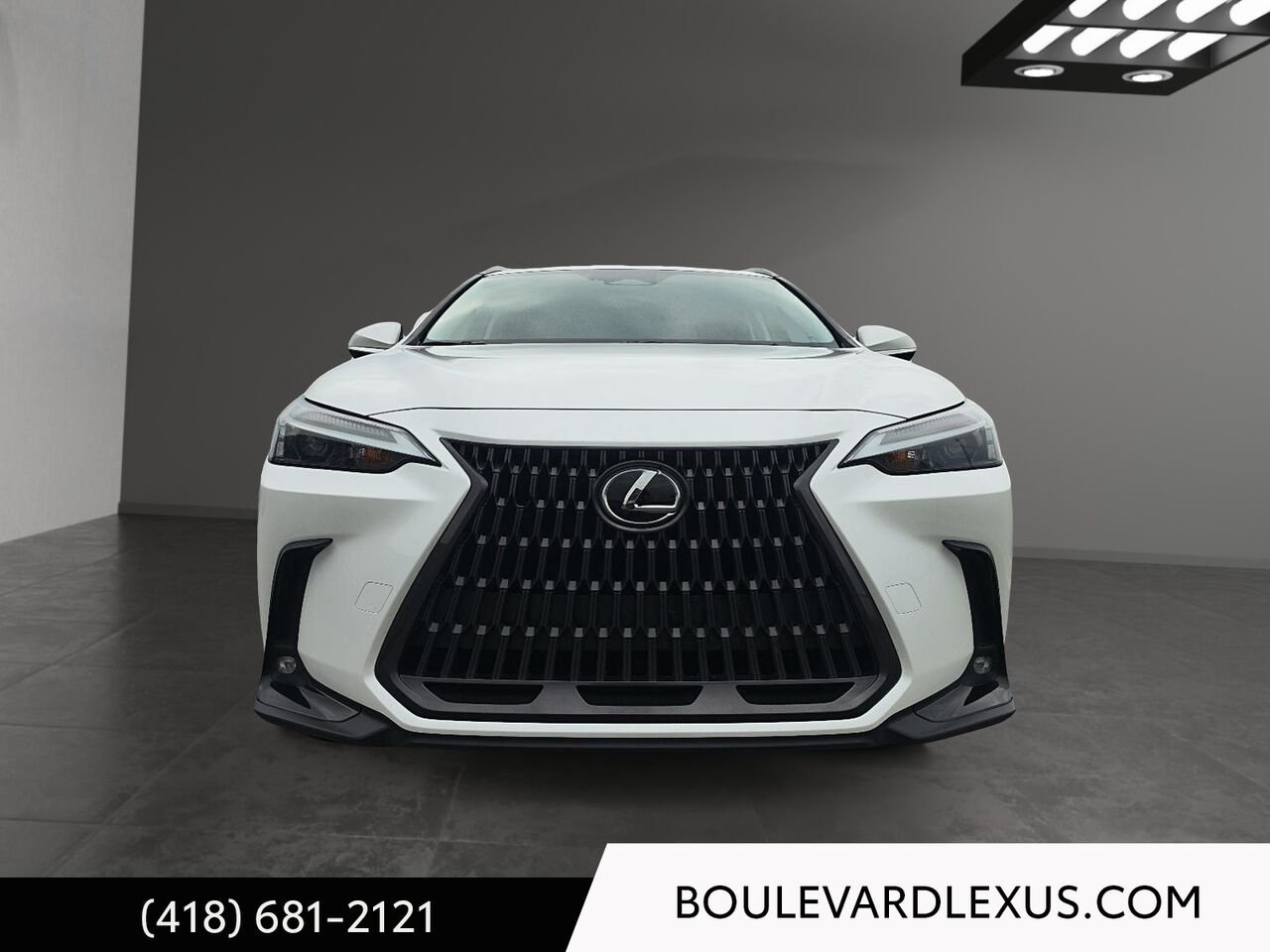 2022 Lexus NX White Quebec - photo #1