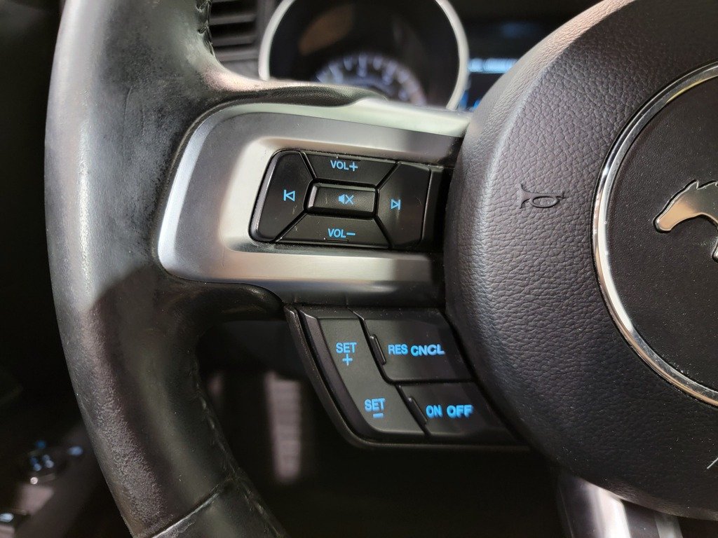 Ford Mustang EcoBoost Premium Fastback 2018 Gris Val-David - photo #15