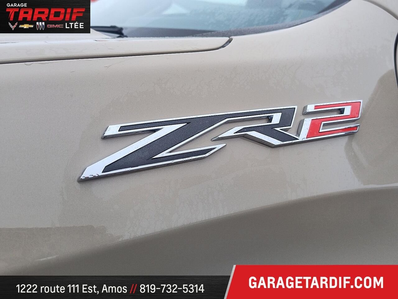 2022 Chevrolet Silverado 1500 Beige Amos - photo #6