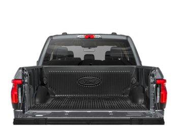 Ford F-150 Lightning Flash
