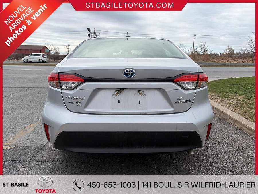 Toyota Corolla Hybride 2023 2023 Gris