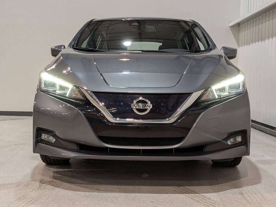 2019 Nissan LEAF Grey