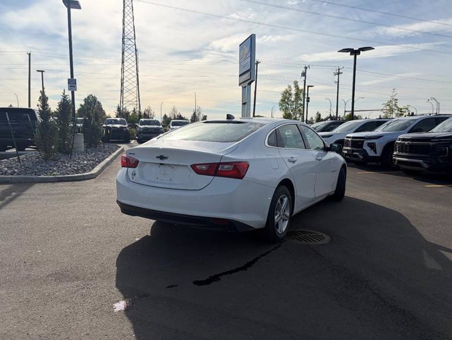 2023 Chevrolet Malibu 2023 White