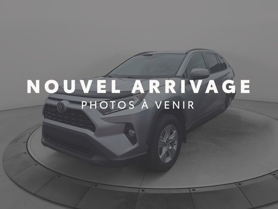 Toyota RAV4 2019 2019 Gris