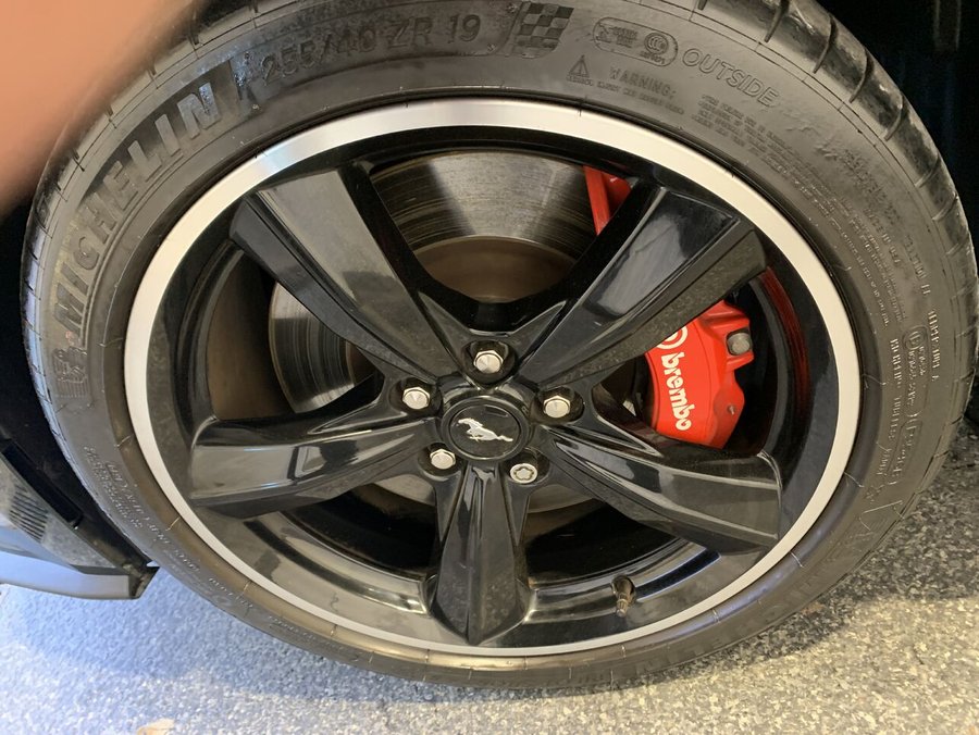 Ford Mustang Bullitt 2019 2019 Vert