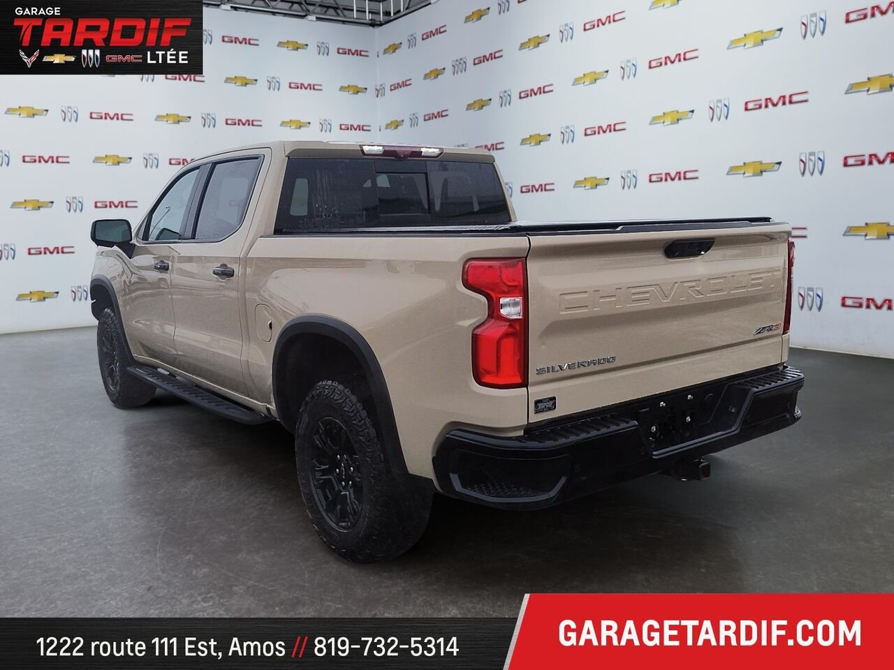 2022 Chevrolet Silverado 1500 Beige Amos - photo #3