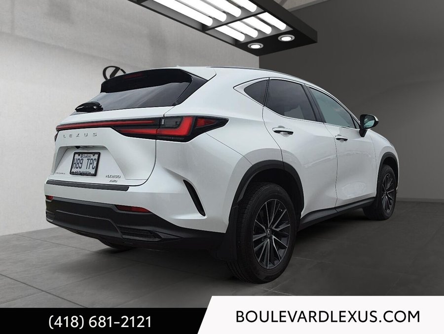 2022 Lexus NX 2022 White