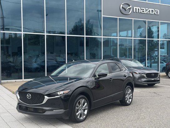 Mazda CX-30 2022 2022 Noir