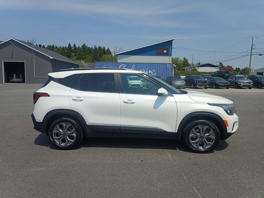 Kia Seltos 2024 2024 Blanc