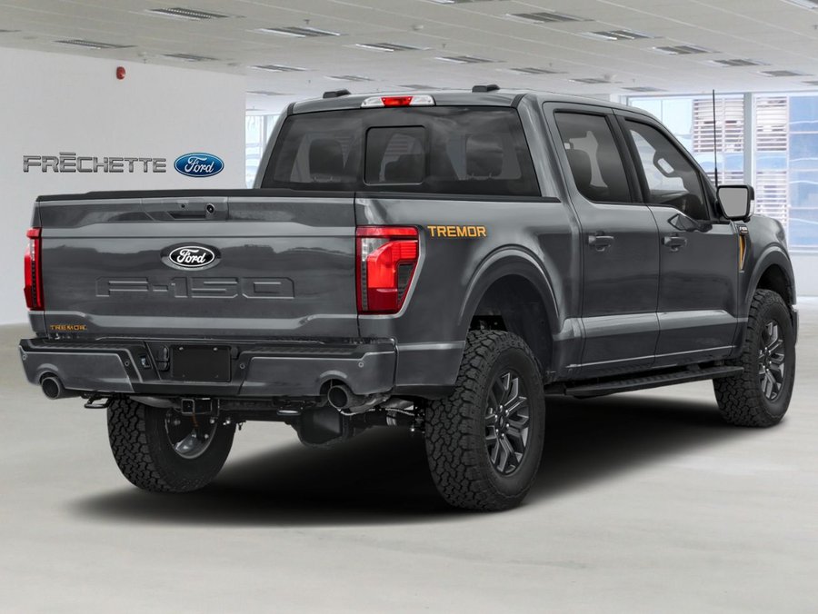 Ford F-150 2026 2026 Gris carbonisé métallisé