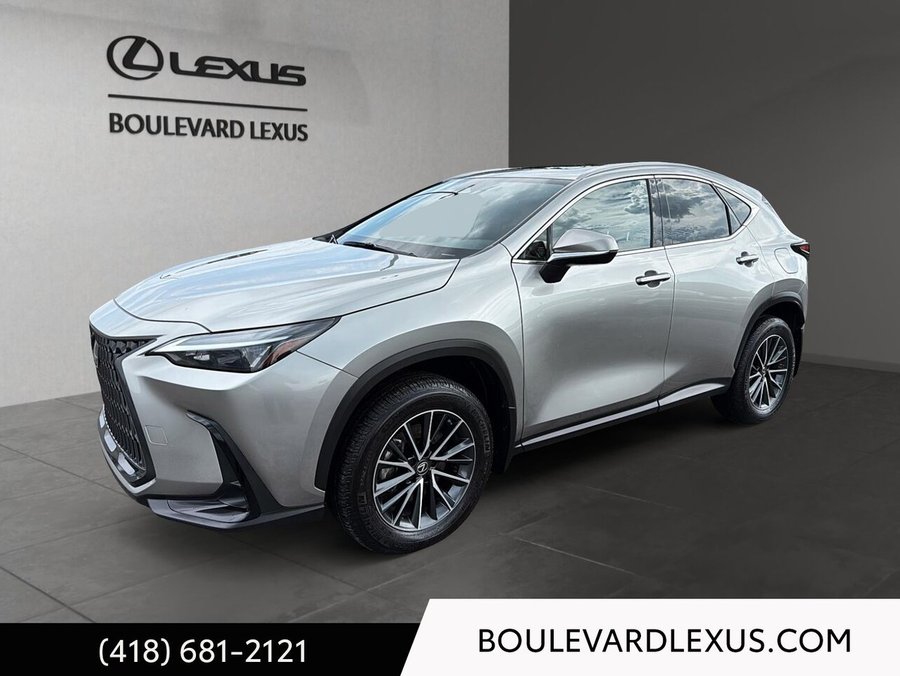 Lexus NX 2023 2023 Argent