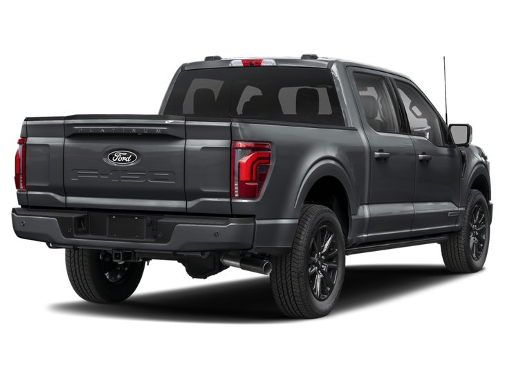 2025 Ford F-150 Platine