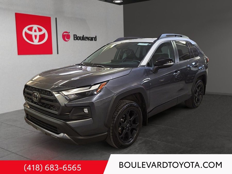 Toyota RAV4 2022 2022 Gris
