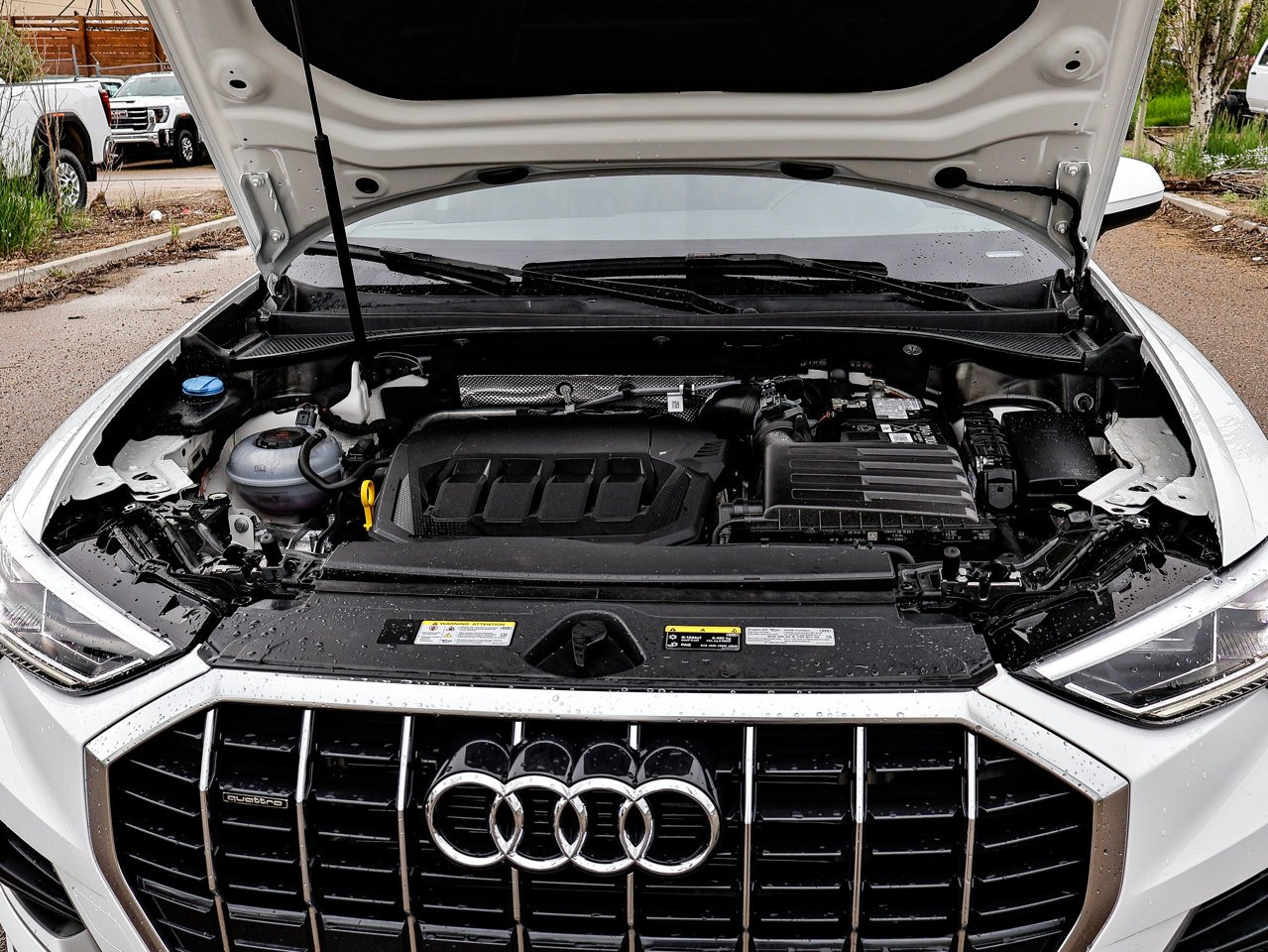 2025 Audi Q3 40 TFSI quattro White Sherwood Park - photo #8
