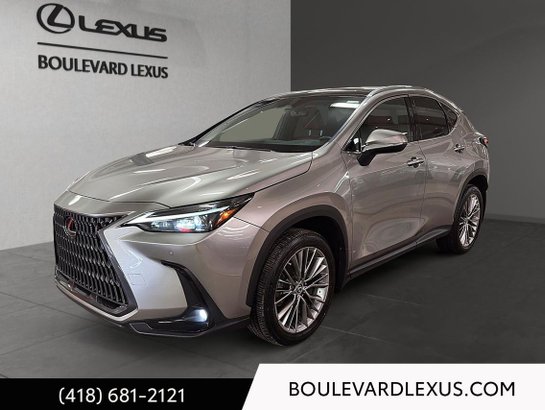 Lexus NX 2022 2022 Argent