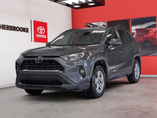 Toyota RAV4 2019 2019 Gris