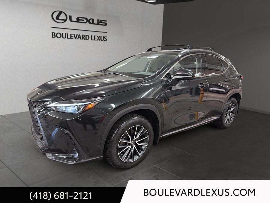 Lexus NX 2024 2024 Noir