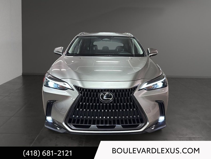 Lexus NX 2024 2024 Argent