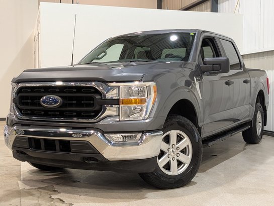 Ford F-150 2022 2022 Gris