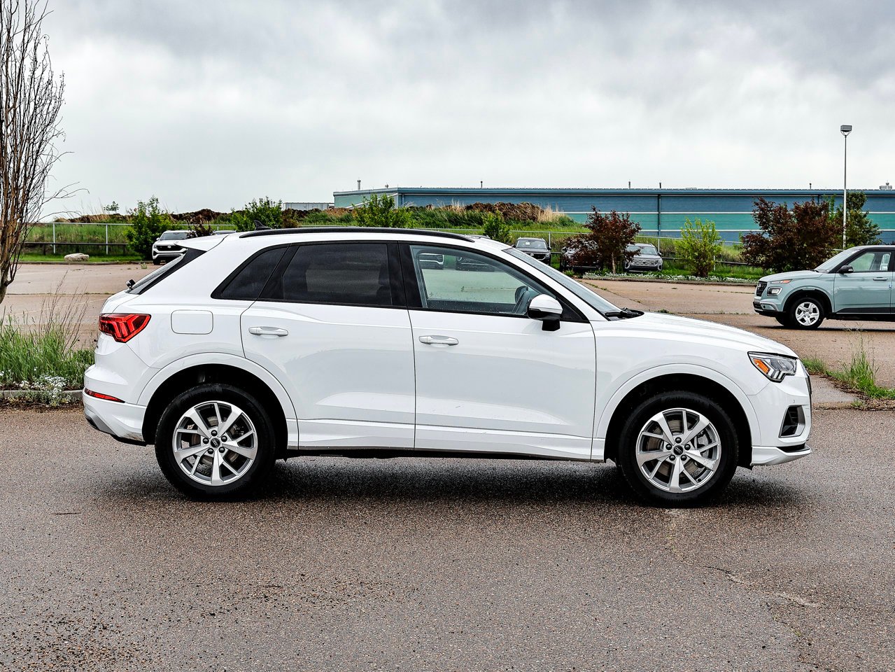 2025 Audi Q3 40 TFSI quattro White Sherwood Park - photo #13