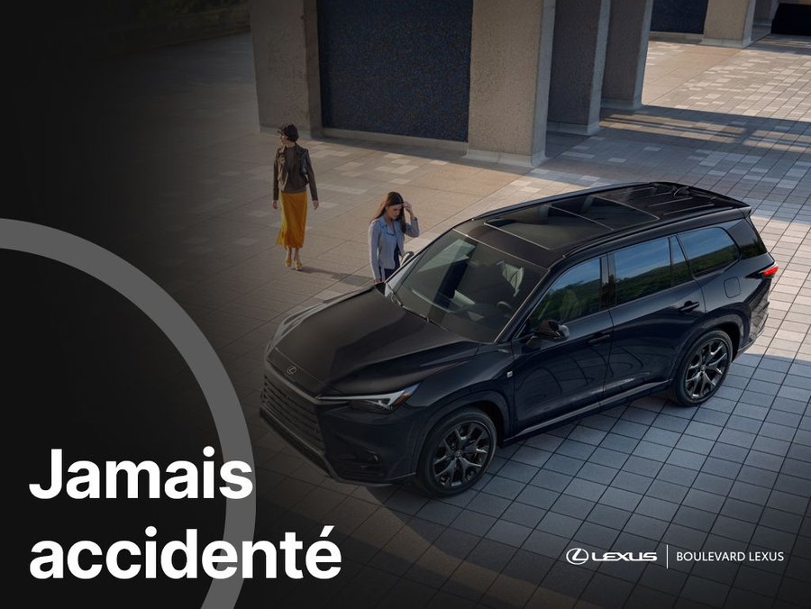 Lexus NX 2024 2024 Bleu
