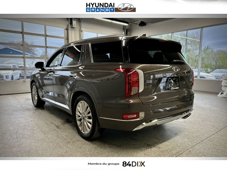 Hyundai Palisade 2020 2020 Brun