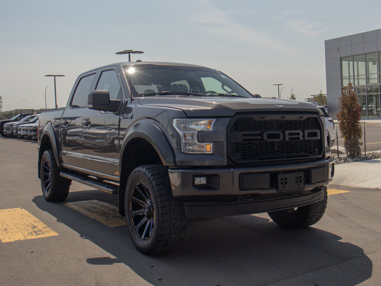 2017 Ford F-150 4WD SuperCrew 145 XLT Grey Sherwood Park - photo #12