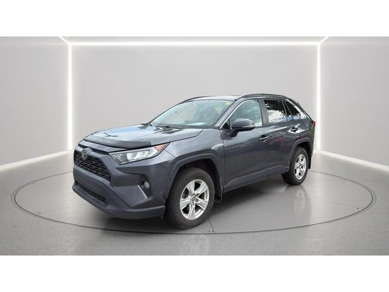 Toyota RAV4 2021 2021 Gris