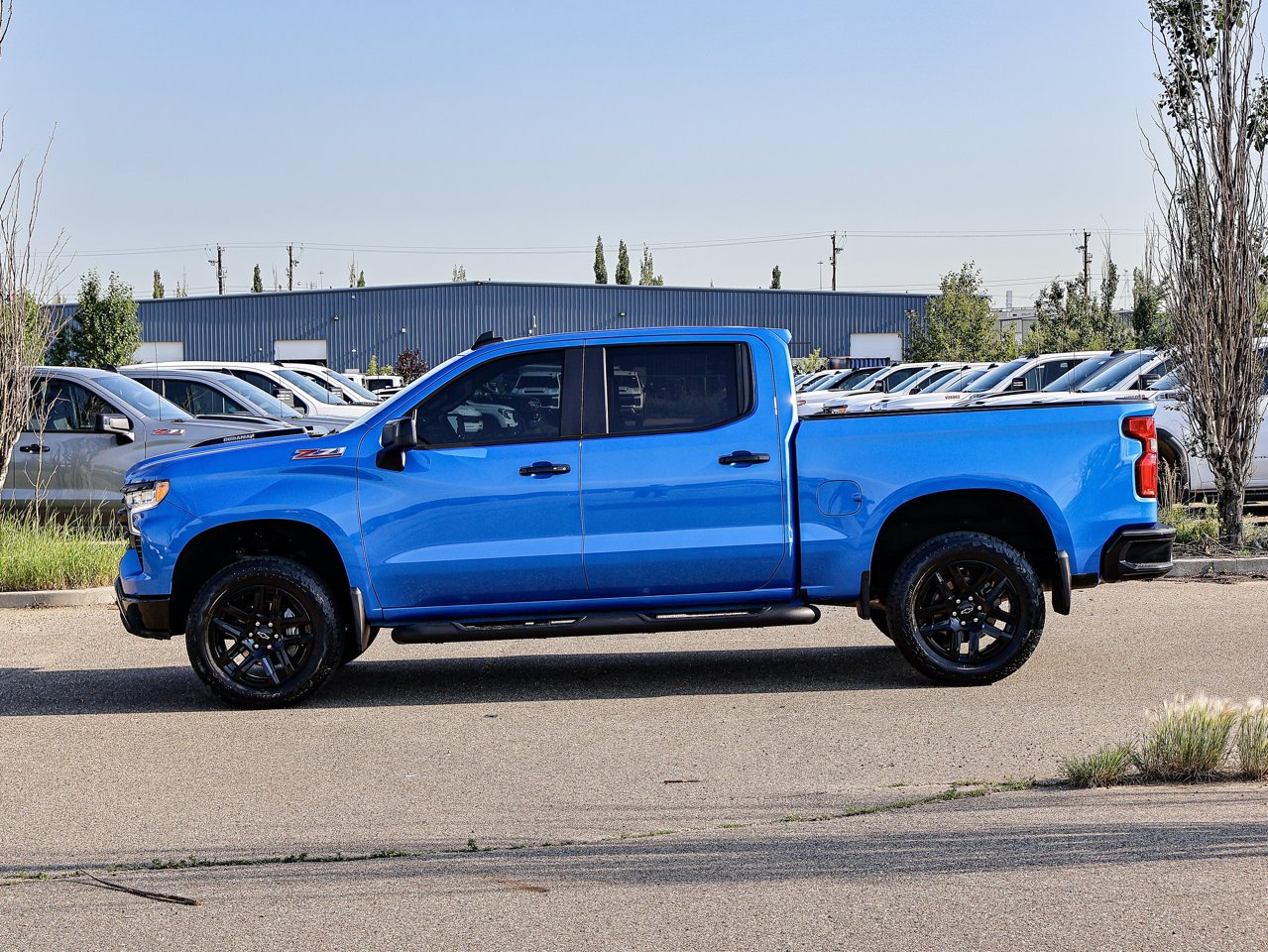 2025 Chevrolet Silverado 1500 4WD Crew Cab 147 LT Trail Boss Blue Sherwood Park - photo #9
