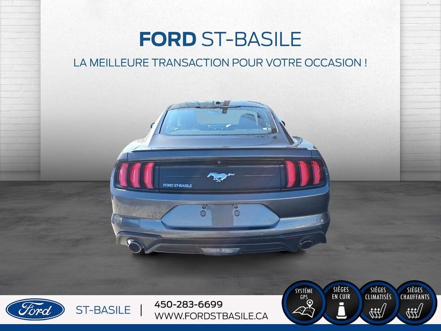 Ford Mustang 2019 2019 Gris