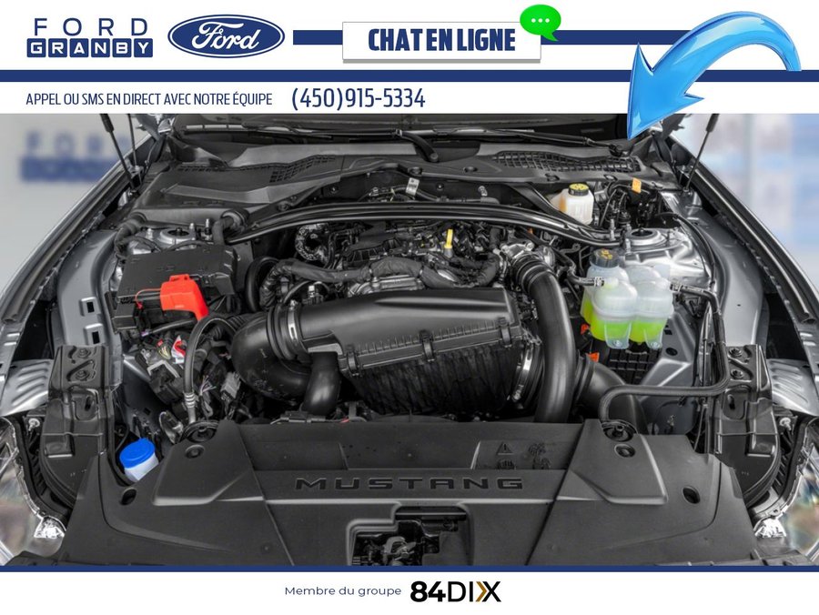 Ford Mustang EcoBoost décapotable 2026 Noir ombre