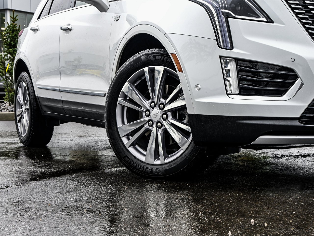 2024 Cadillac XT5 AWD 4dr Premium Luxury White Sherwood Park - photo #5