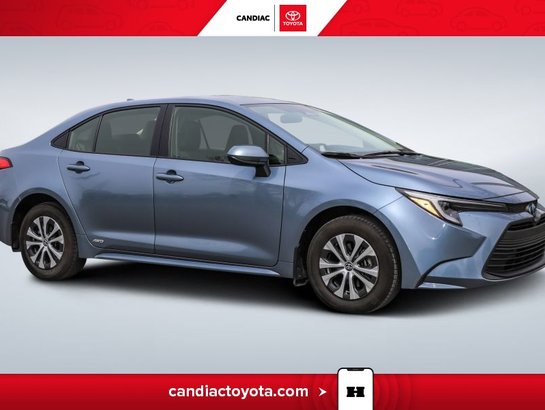 Toyota Corolla 2025 2025 Bleu