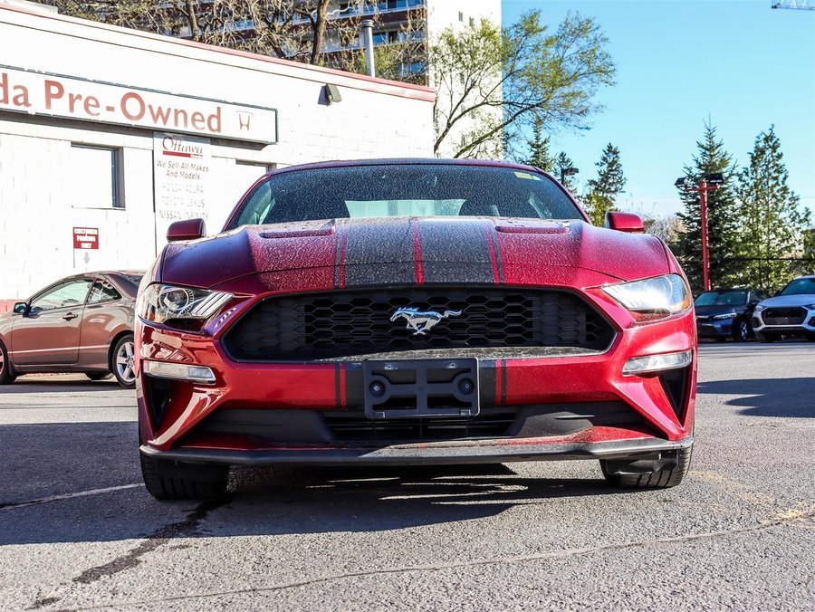 2019 Ford Mustang 2019