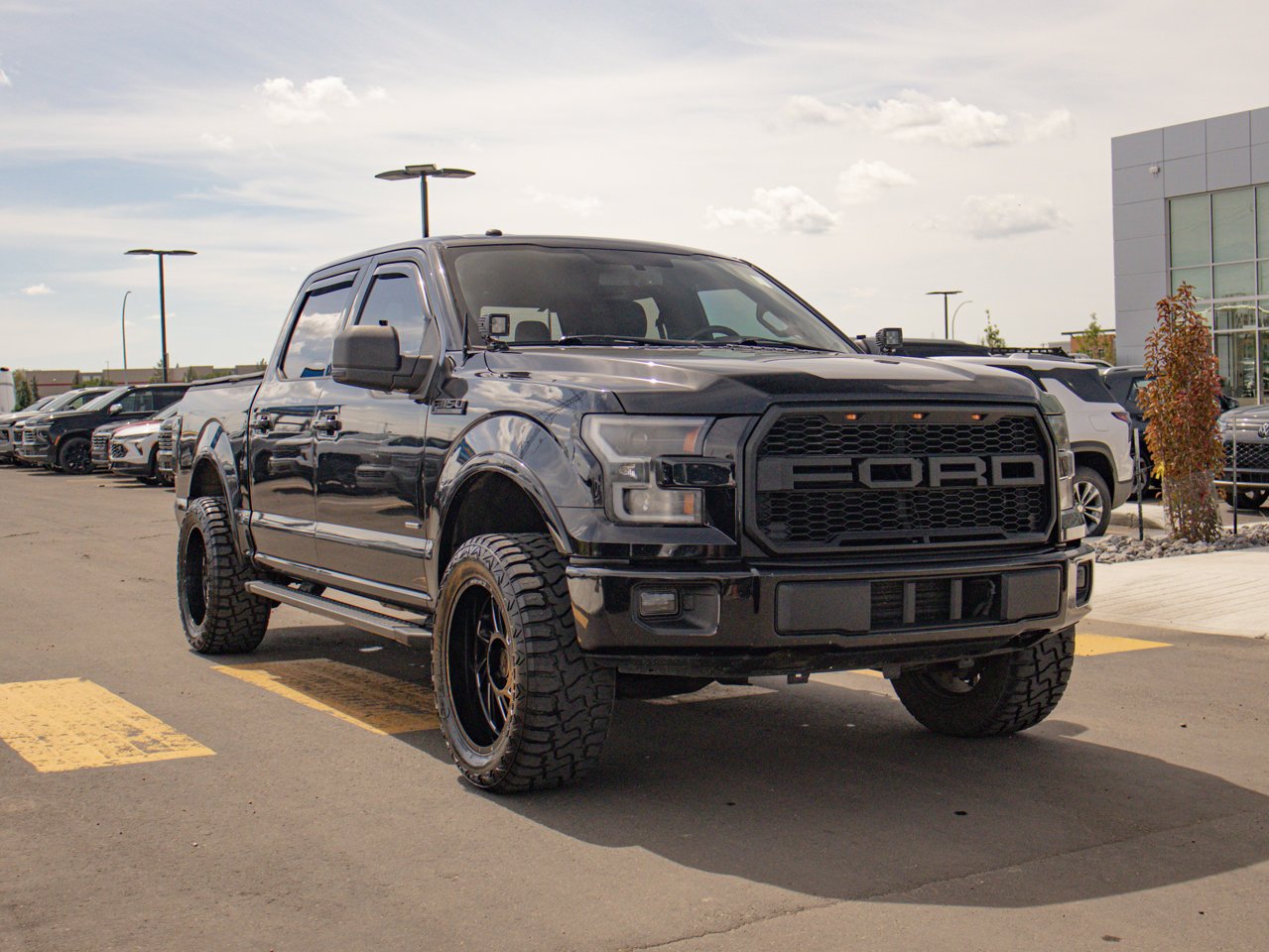 2016 Ford F-150 4WD SuperCrew 145 XLT Black Sherwood Park - photo #12