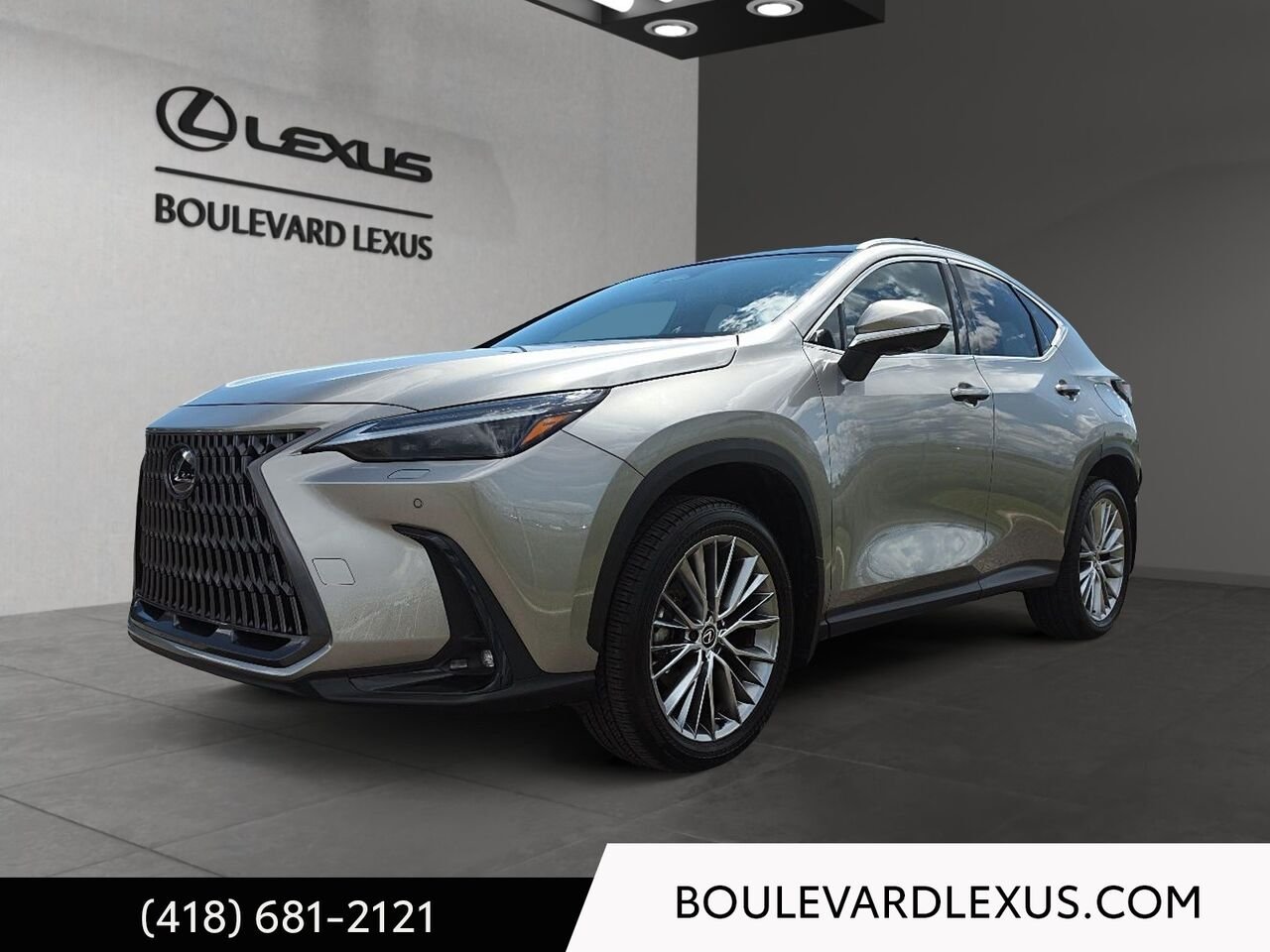 Lexus NX 19896A | NX 350h TI 2024 Argent Québec - photo #0