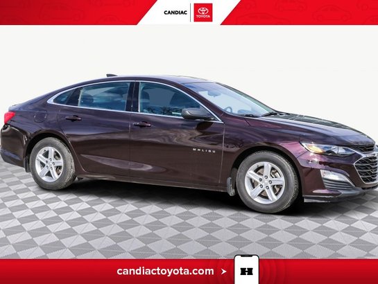 Chevrolet Malibu 2020 2020 mauve