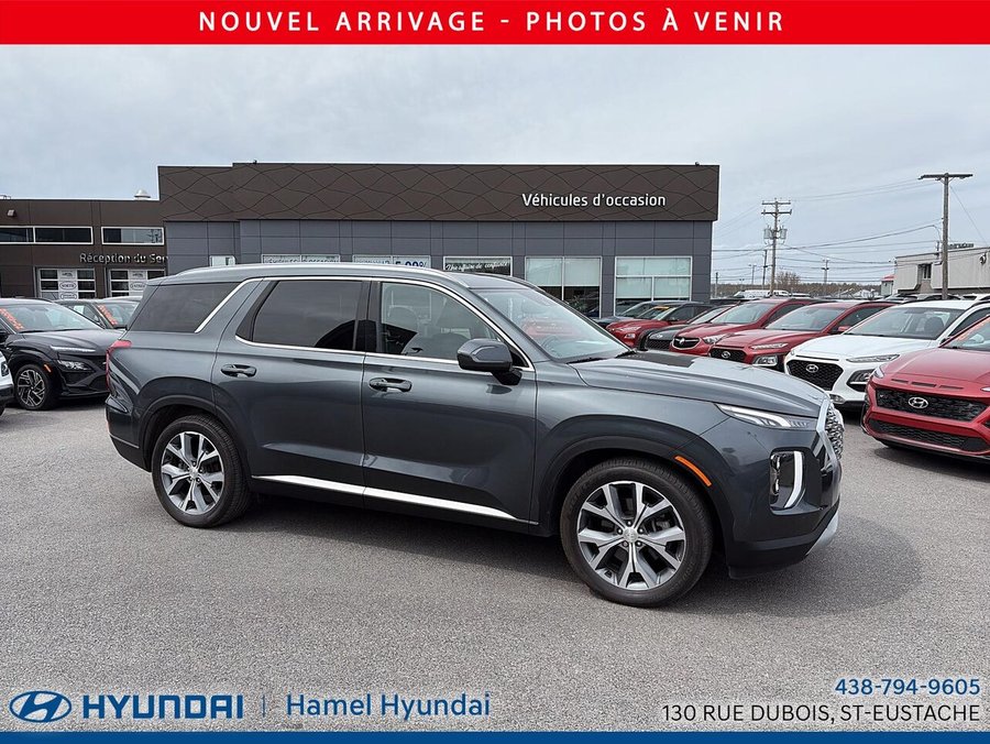 Hyundai Palisade 2021 2021 Gris