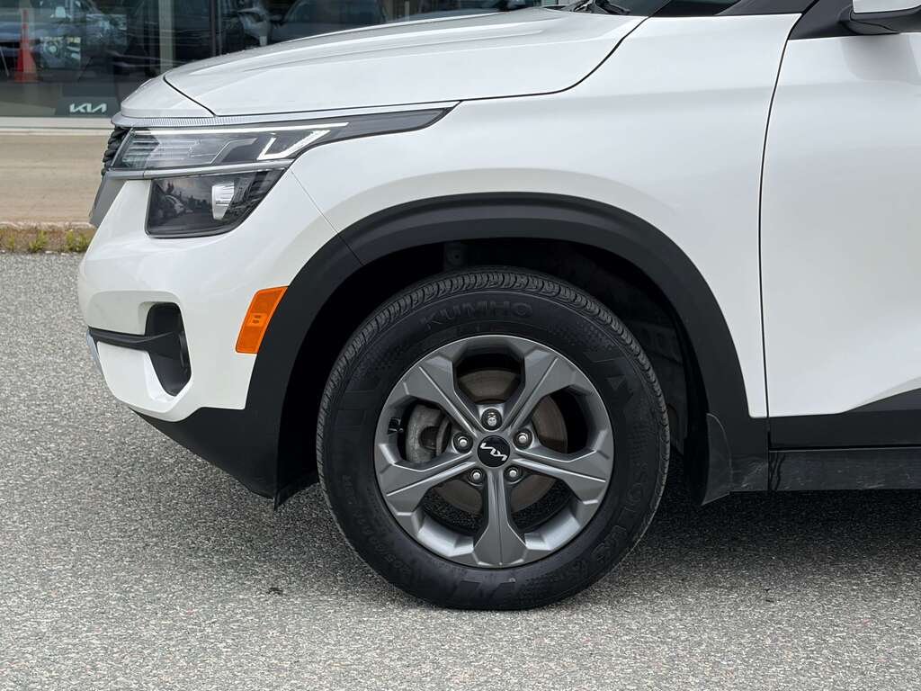 Kia Seltos 2023 Blanc Gatineau - photo #7