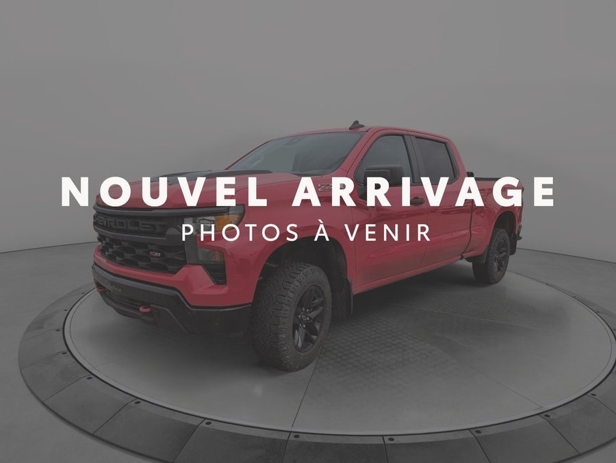 Chevrolet Silverado 1500 2022 2022 Rouge