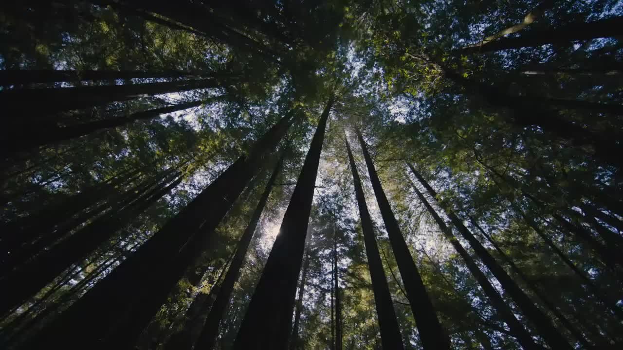 SubaruStHyacinthe herovid2026 1 mp4