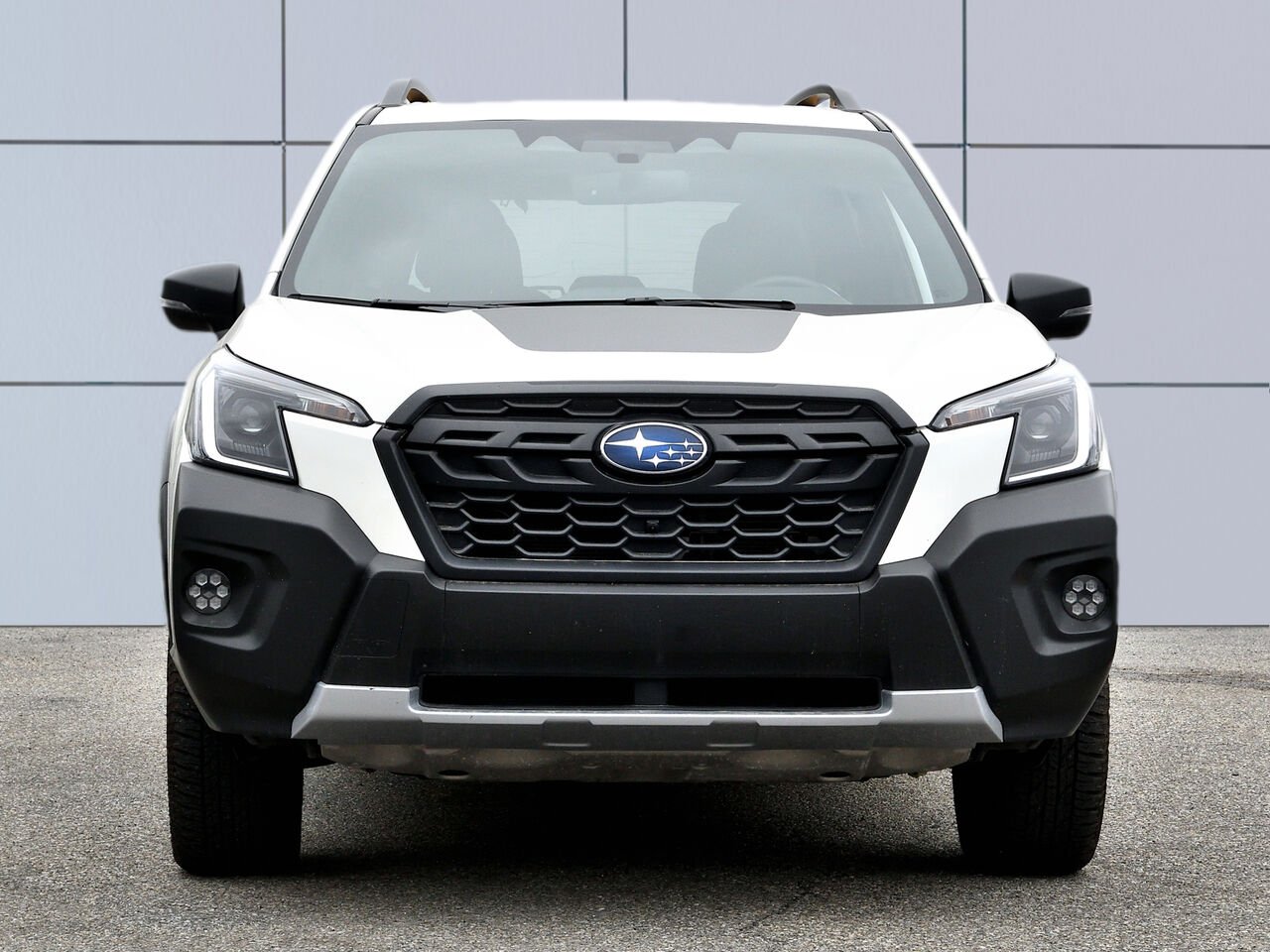 Subaru Forester Wilderness TI 2024 Blanc Saint-Hyacinthe - photo #4