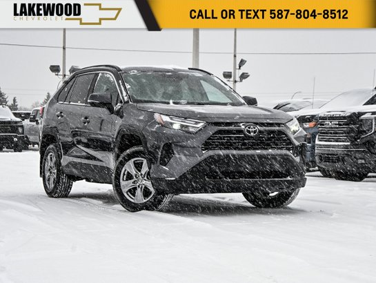 2024 Toyota RAV4 2024 Grey